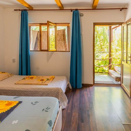 Casa Dexter Hotel Vama Veche Eksteriør billede